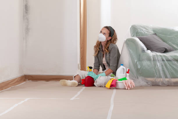 Reliable Mold Remediation contractor in Kent, WA by 24 Hour Mold Removal